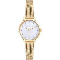 Ted Baker Women's BKPSTF405 Classic Chic 28mm Quartz Watch in Gold