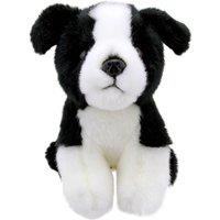 Wilberry Border Collie - Minis