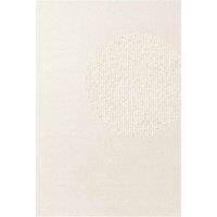 THE RUGS 
