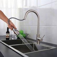 INMTFEI SUS 304 Spring Pull-Out Kitchen Mixer Tap with Dual Spray in Silver