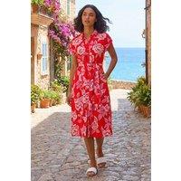 Roman Women's Rose Print Belted Midi Dress in Red | Size: 18