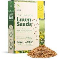 Foris Fast Growing Lawn Seed 1.4kg - Covers Up to 93m Overseeding Capacity