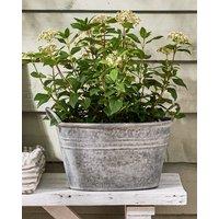 Dibor Vintage Grey Galvanised Trough Bucket Flower Pot with Handles Embossed Outdoor Garden Planter (Dia) 29cm, (H)47cm