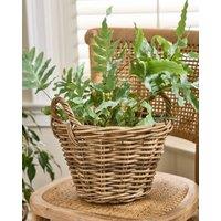 Dibor Traditional Lined Small Wicker Planter Basket with Handles in Grey