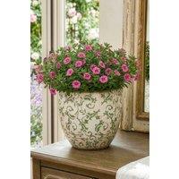 Dibor Vintage Irina Green Large Botanical Flower Planter H17 x Dia. 18.5cm in Cream