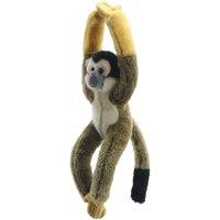 Wilberry Squirrel Monkey - Canopy Climbers