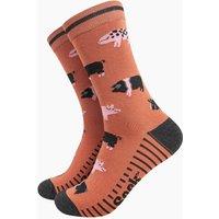 Sock Talk Men's Farm Pigs Bamboo Socks - Rust in Orange | Size: 7-11