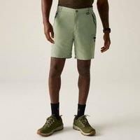 Regatta Men's Leesville III Walking Shorts in Light Green | Size: 32R