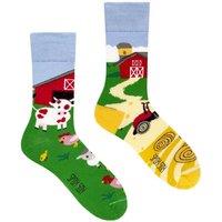 SPOX SOX Men's 1 Pack Mismatched Novelty Odd Socks - Farm | Size: 4-5