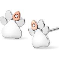Clogau Women's Paw Prints Sterling Silver Stud Earrings with Topaz in Metallics