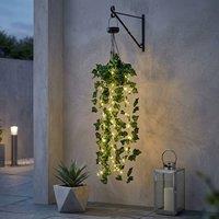 Garden Greatness Lunaria Hanging Solar Ivy Basket