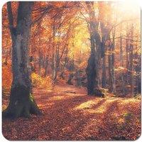 Warren Reed - Designer Autumn Forest Coasters - Set of 4 in Brown