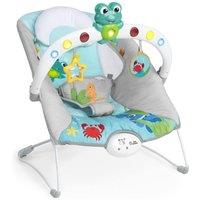 Baby Einstein 
