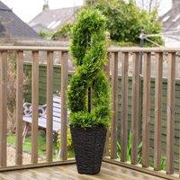 Scottish Everlastings Ltd 122cm Twisted Cedar Topiary in Square Pot UV in Green