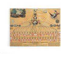 Artery8 US Federal Government American Union Diagram Canvas Wall Art Print in Beige | Size: W18 x H24