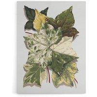 Artery8 Various Ivy Leaves Watercolor Painting Hibberd Canvas Wall Art in Green | Size: W24 x H32