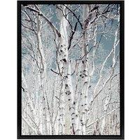 Artery8 Birch tree forest Carol M Highsmith Framed Canvas Wall Art Print | Size: W12 x H16