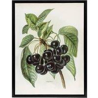 Artery8 Vintage Artwork of Early Rivers Cherries Wright Framed Canvas Wall Art in White | Size: W12 x H16