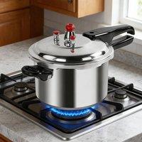 Ventryn 9 Litre Aluminum Pressure Cooker Kitchen Quick Cookware in Metallic Silver