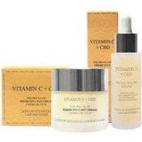 London Botanical Laboratories Vitamin C Day cream Anti-Aging 50ml + Vitamin C Anti-Aging Serum 30ml in Clear