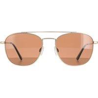 Serengeti Aviator Matte Light Gold Polarized Drivers Brown Carroll