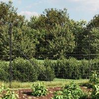 Berkfield Home Wire Mesh Fence with Spike Anchors Anthracite 1.4x25 m in Black