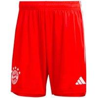 FC Bayern Munich Men's Mens 2023 2024 Home Shorts Red | Size: XL