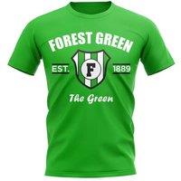 Aston Villa FC Men's Mens Forest Green Established Football T-Shirt Green | Size: Medium