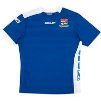 Gambia Men's Mens 2019 2020 Away Shirt in Blue | Size: Medium