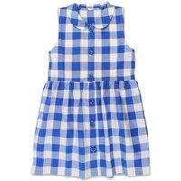 Toby Tiger Girl's Gingham Woven Dress in Blue | Size: 3-4 Years