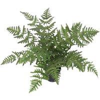 Leaf 50cm Luxury Artificial Evergreen Fern Plant in Green