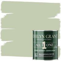 EVELYN GRANT All-In-One Multi Surface Indoor & Outdoor Paint - 5L - Matt in Sage Green