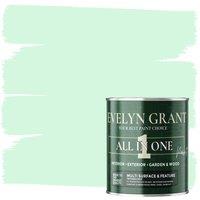 EVELYN GRANT All-In-One Multi Surface Indoor & Outdoor Paint - 5L - Matt in Mild Mint