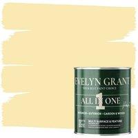 EVELYN GRANT All-In-One Multi Surface Indoor & Outdoor Paint - 5L - Matt in Warm Yellow