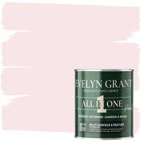 EVELYN GRANT All-In-One Multi Surface Indoor & Outdoor Paint - 5L - Matt in Blush Pink