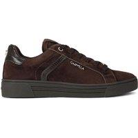 Carvela Women's 'Daze' Suede Fabric Trainers in Dark Brown | Size: 6