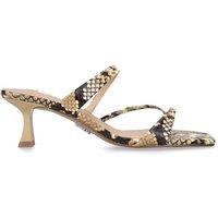 STEVE MADDEN Women's 'Ajay Snakeprint' Leather Heels in Beige | Size: 7