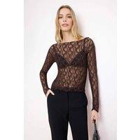 WOVCOR Women's Bardot Neck Lace Detail Fitted Knit Blouse with Long Sleeves in Brown | Size: XS