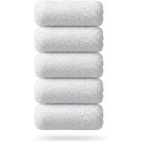 SHEDS AND FENCE LTD 5x 4 Inch Emulsion Mini Roller Sleeves for Wall & Ceiling Painting in White