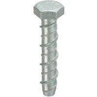 Thunderbolts All-Purpose Anchors M16 x 100 - Box of 10 in Silver
