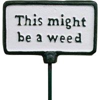 Gifts Direct 2 U Garden Stake Plant Sign - This Might Be A Weed in Green
