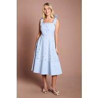 Coast Women's Petite Bow Shoulder Floral Lace Midi Dress in Light Blue | Size: 8