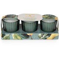 Candlelight Set of 3 Mini Votive Candles Pear Tree & Bay Leaf in Green