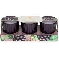 Candlelight Set of 3 Mini Votive Candles Blackberry & Fig Tree in Purple