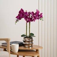 Scottish Everlastings Ltd 54cm Pink Orchid in Silver Ceramic Pot in Fuchsia
