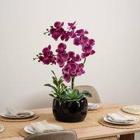 Scottish Everlastings Ltd 60cm Pink Orchid & Foliage in Black Ceramic Pot in Fuchsia