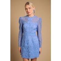 Oasis Women's Contrast Lace Mini Dress in Cornflower Blue | Size: 14