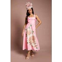 Coast Women's Petite Lisa Tan Floral Placement Print Belted Midi Dress in Pink | Size: 10