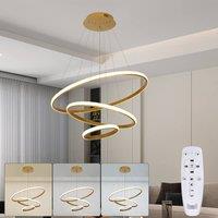 Pheashine Sleek LED Pendant Light With Remote Control 20 40 60CM 40W in Gold
