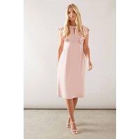 Wallis Women's Petite Bead Detail Tailored Pencil Dress in Blush | Size: 18